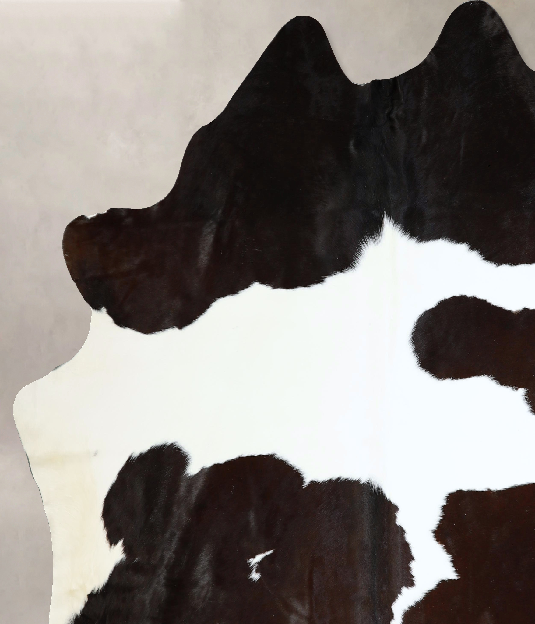 Chocolate and White Cowhide Rug #A42759