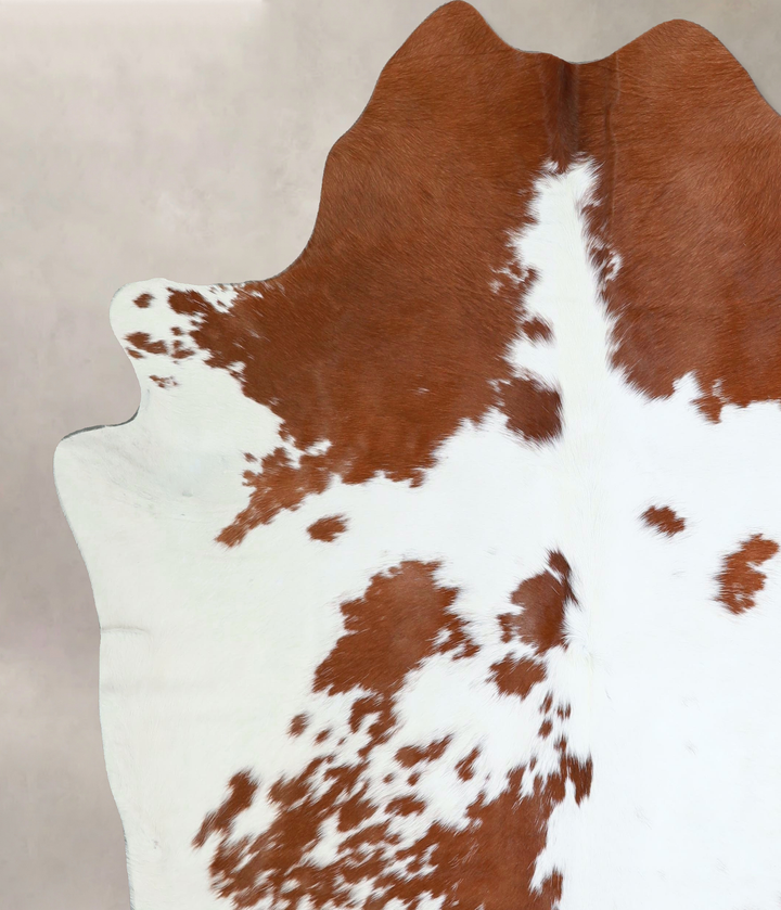 Brown and White X-Large Brazilian Cowhide Rug 6'11"H x 6'7"W #A42762 by Hudson Hides