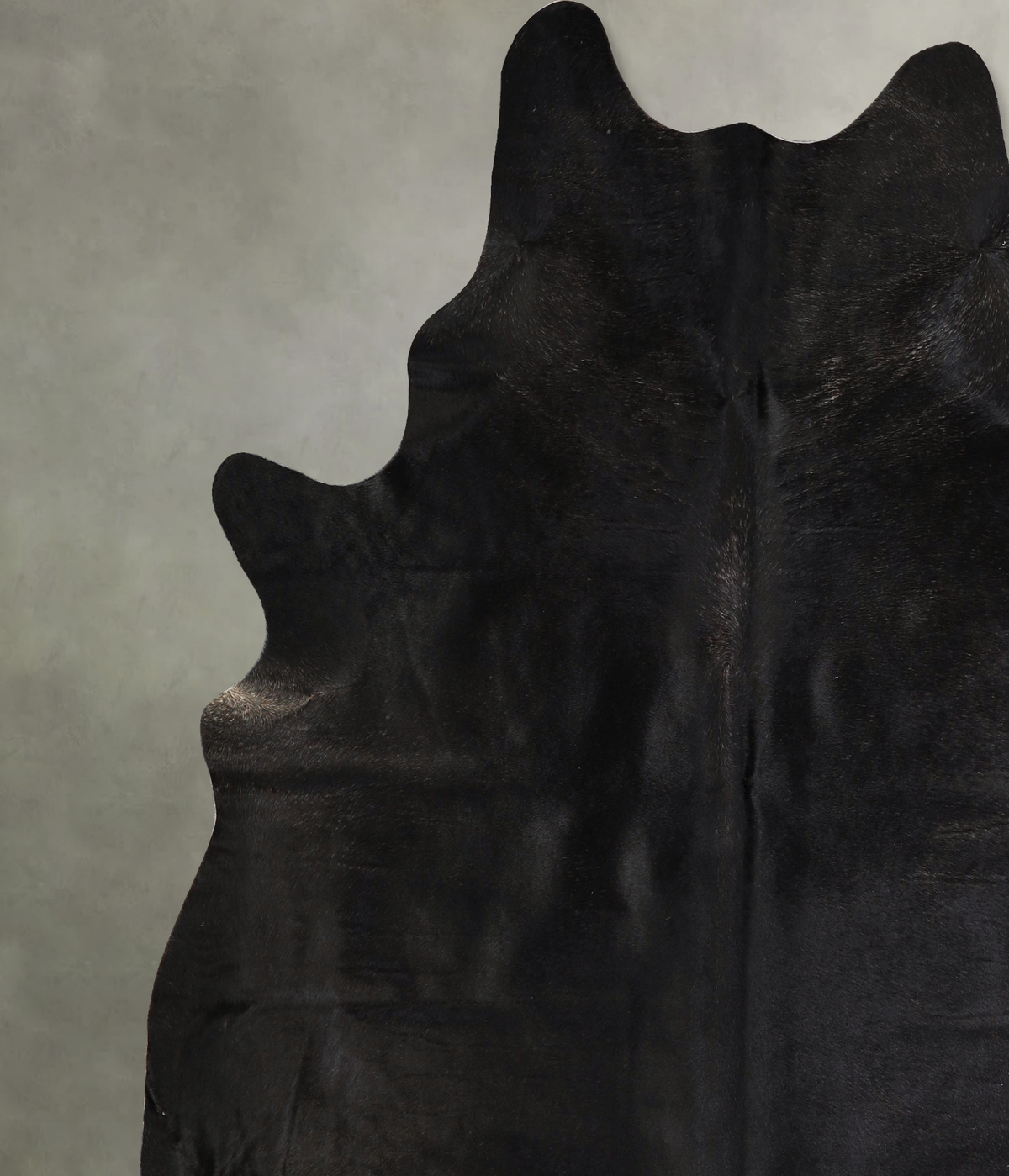 Solid Black XX-Large Brazilian Cowhide Rug 7'8"H x 7'2"W #A42769 by Hudson Hides