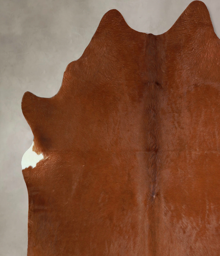 Solid Brown X-Large Brazilian Cowhide Rug 6'11"H x 6'8"W #A42772 by Hudson Hides