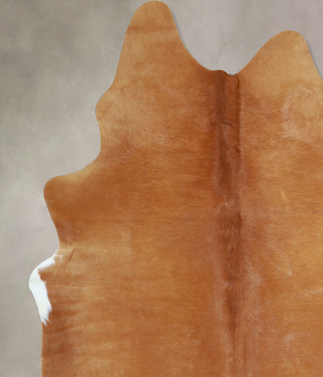 Solid Brown X-Large Brazilian Cowhide Rug 7'2"H x 5'8"W #A42791 by Hud