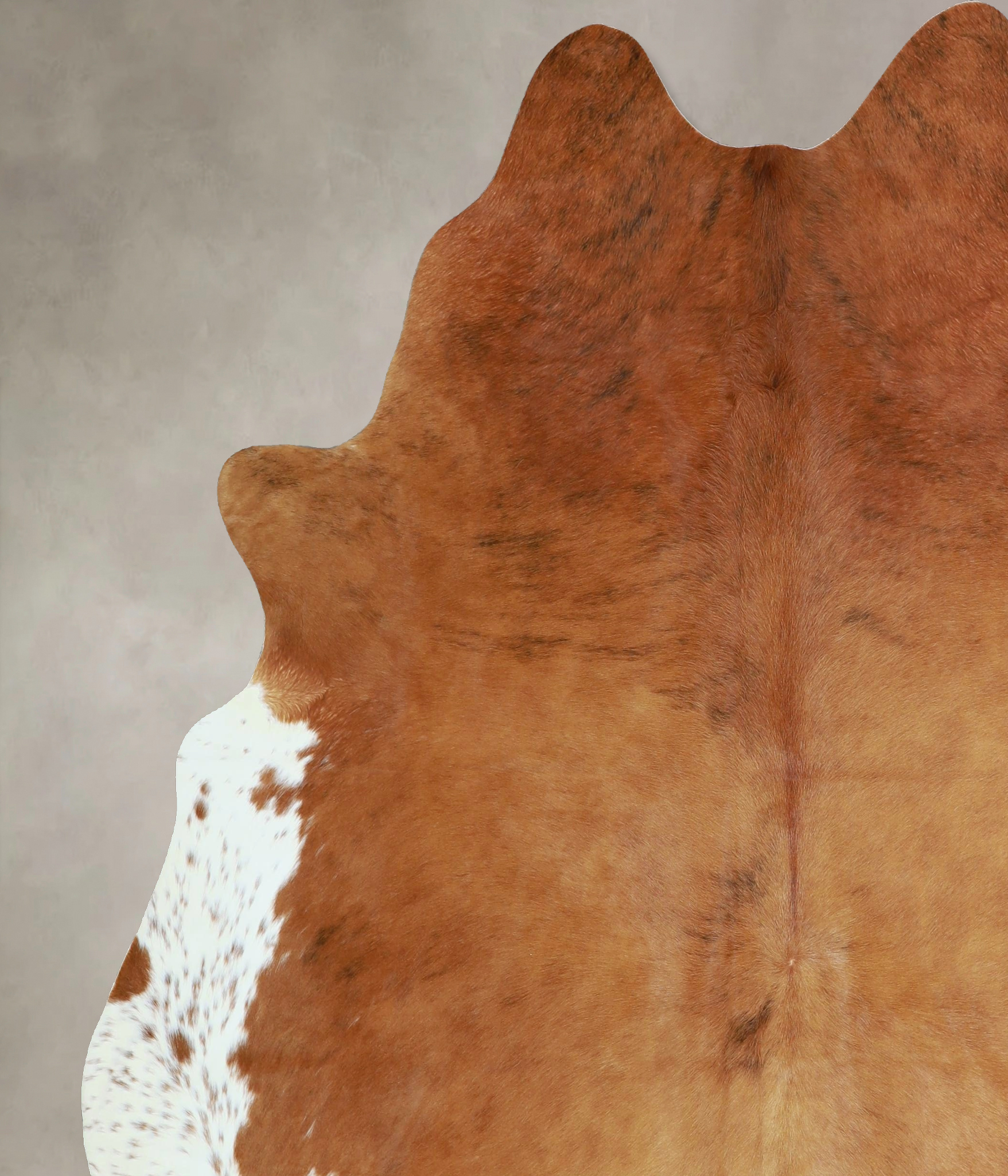 Brown and White Regular Cowhide Rug #A42795
