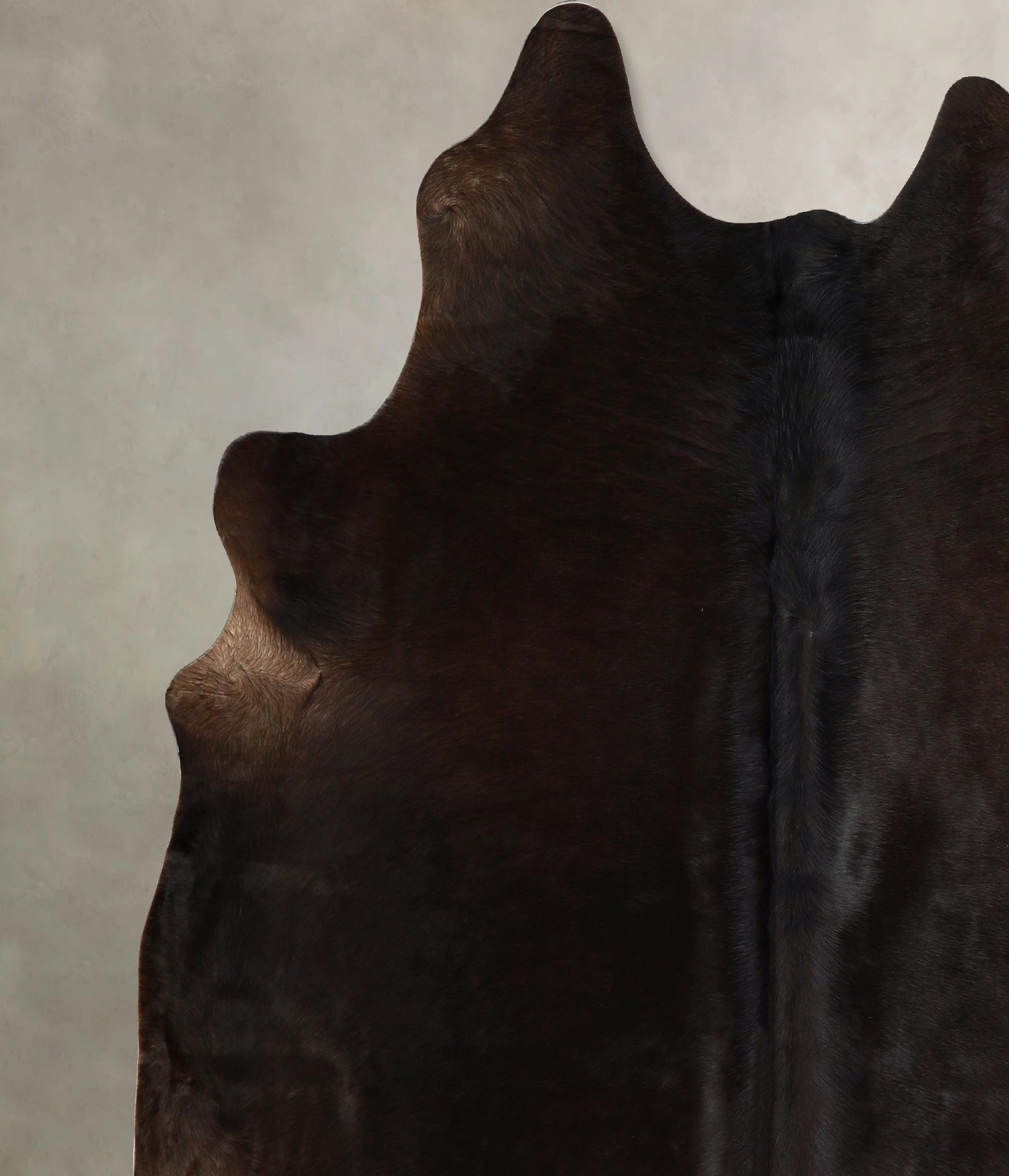 Chocolate Cowhide Rug #A42797