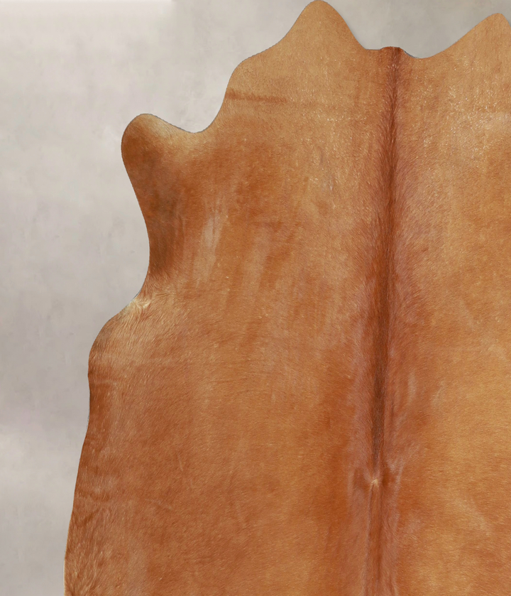 Solid Brown X-Large Brazilian Cowhide Rug 6'2"H x 6'7"W #A42803 by Hudson Hides