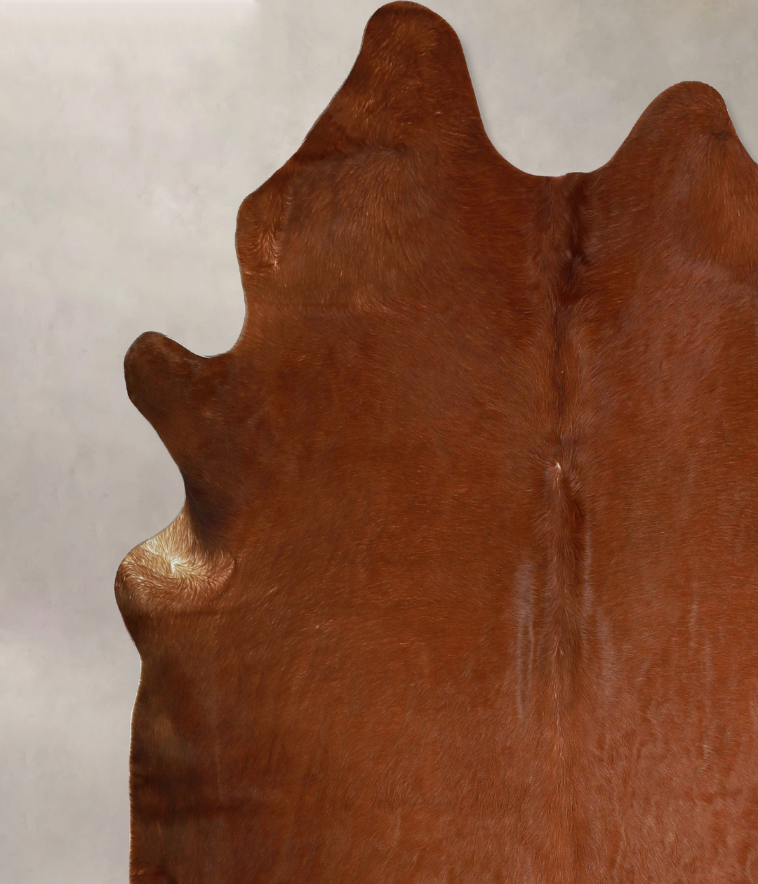 Solid Brown X-Large Brazilian Cowhide Rug 6'10"H x 6'6"W #A42806 by Hu