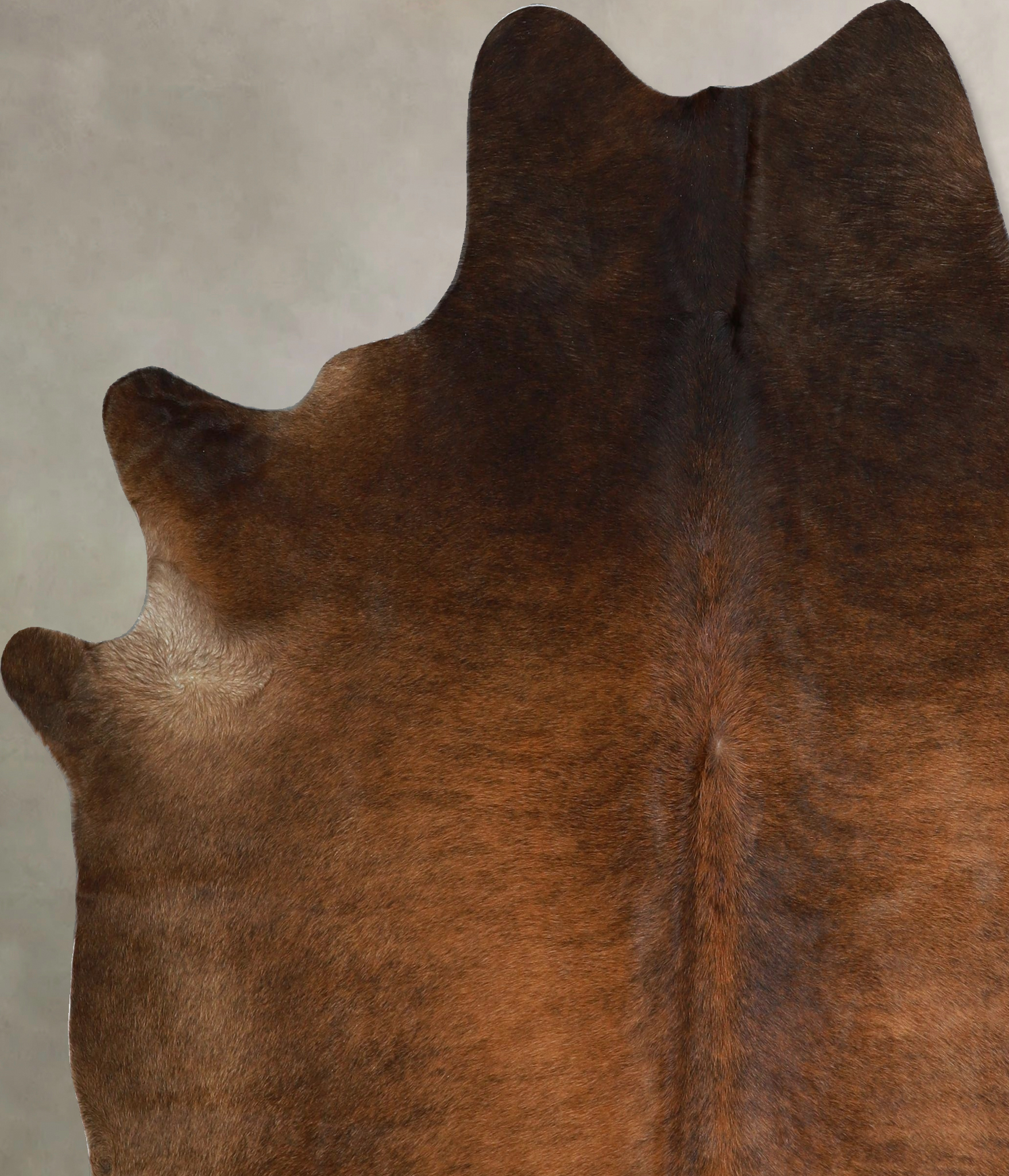 Chocolate Cowhide Rug #A42814