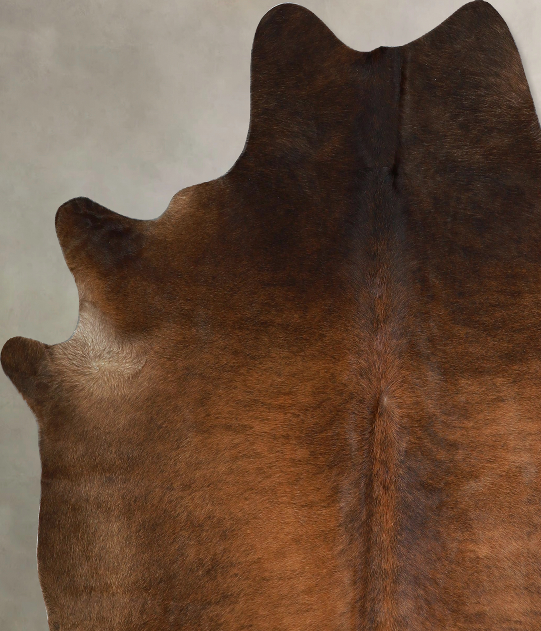 Chocolate X-Large Brazilian Cowhide Rug 6'11"H x 6'5"W #A42814 by Huds