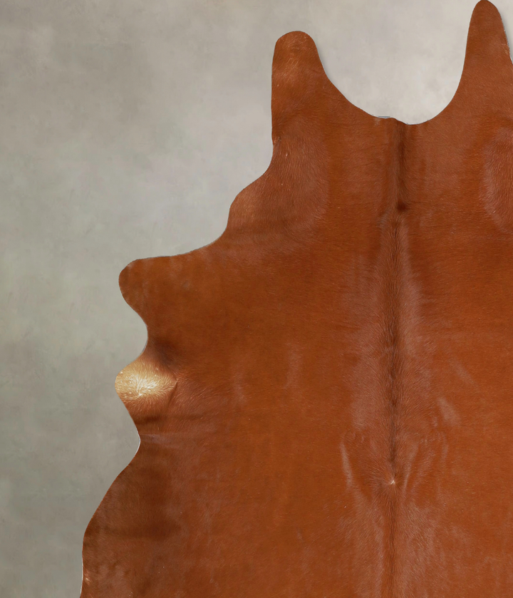 Solid Brown X-Large Brazilian Cowhide Rug 7'3"H x 6'7"W #A42826 by Hudson Hides