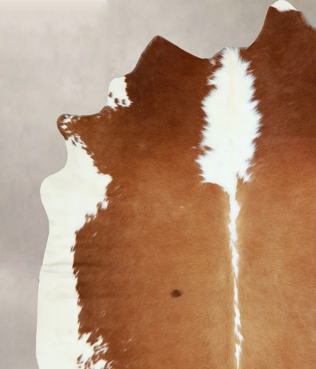 Brown and White X-Large Brazilian Cowhide Rug 6'6"H x 6'6"W #A42844 by