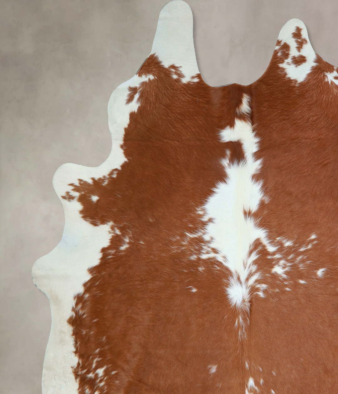 Brown and White XX-Large Brazilian Cowhide Rug 7'5"H x 7'0"W #A42848 b