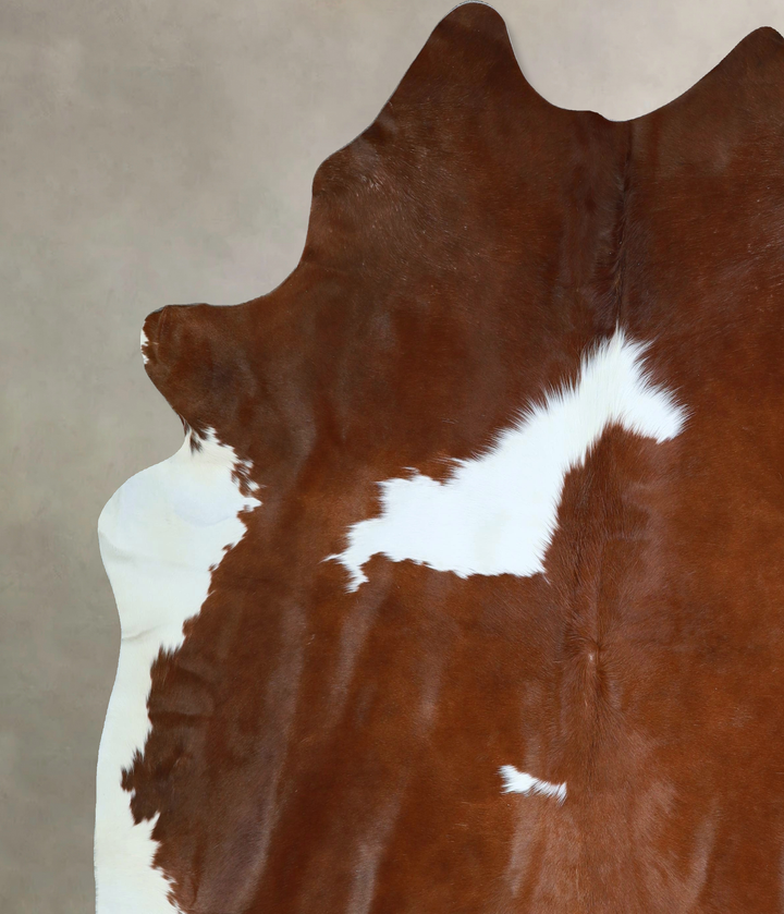 Brown and White XX-Large Brazilian Cowhide Rug 7'10"H x 7'4"W #A42852 by Hudson Hides