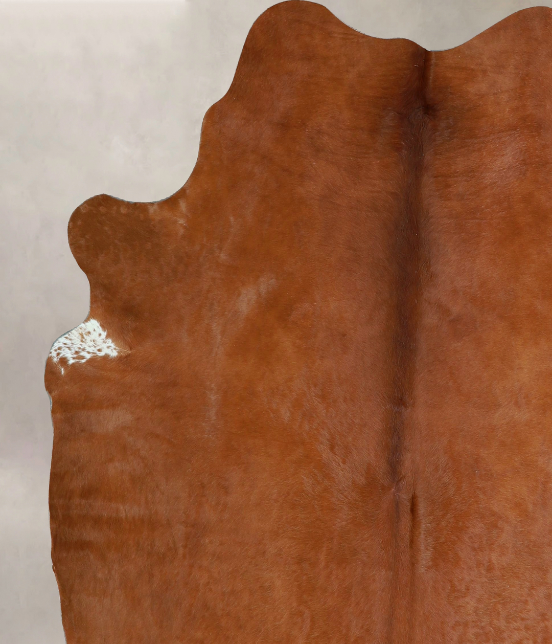 Solid Brown X-Large Brazilian Cowhide Rug 6'10"H x 6'0"W #A42859 by Hu