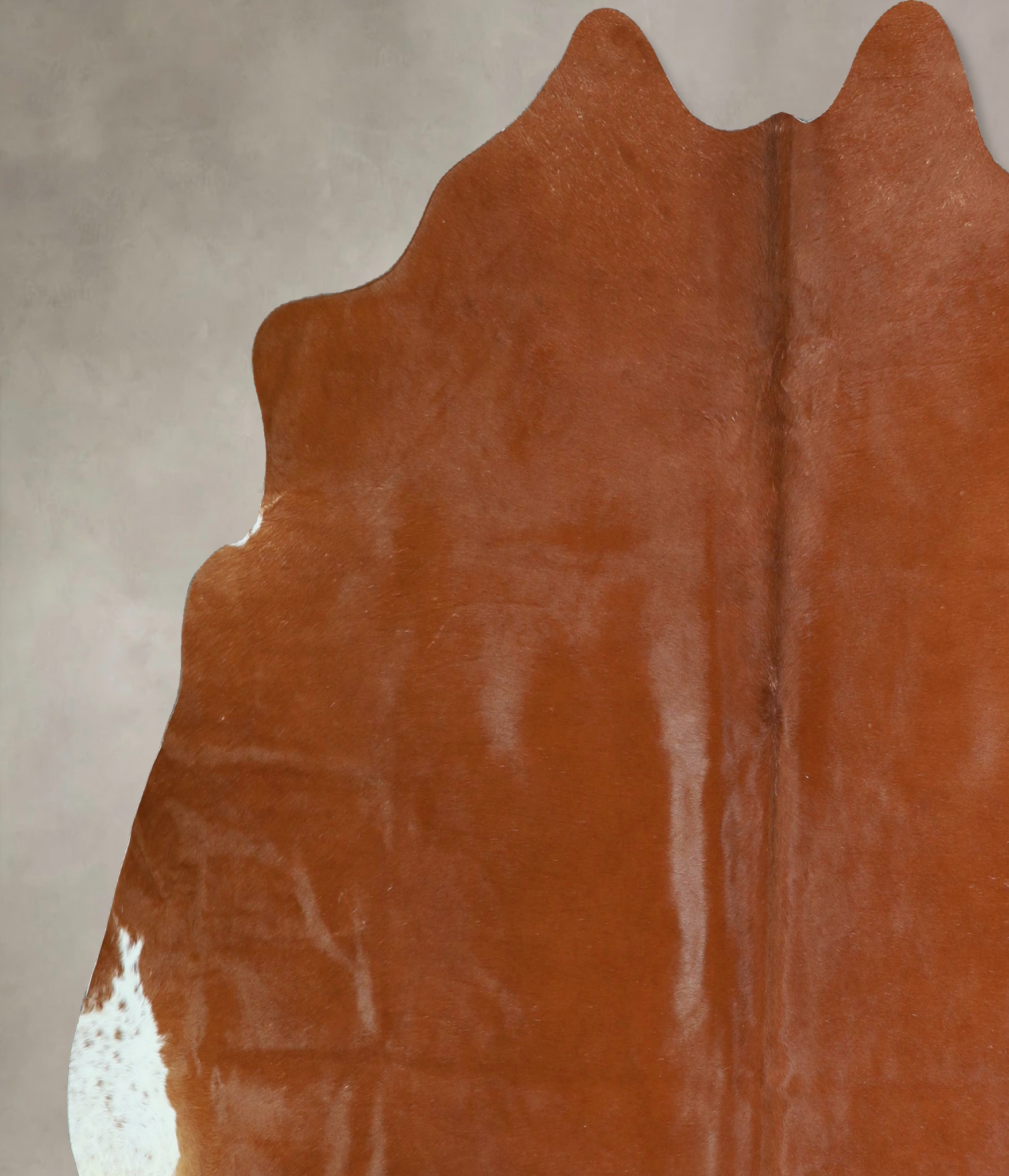Solid Brown Cowhide Rug #A42860