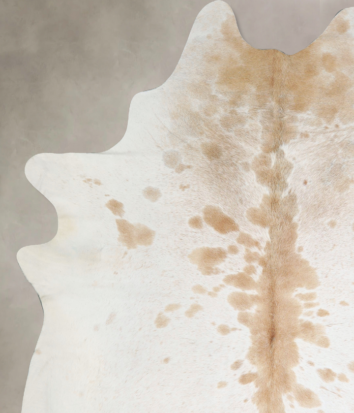 Beige and White XX-Large Brazilian Cowhide Rug 8'0"H x 6'9"W #A42888 by Hudson Hides