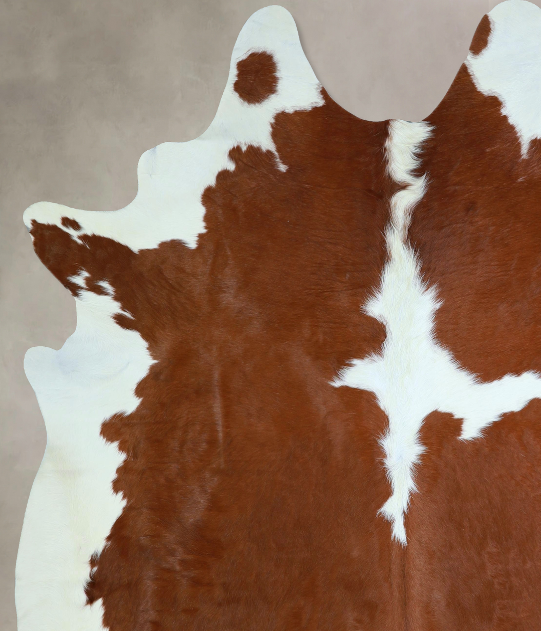 Brown and White XX-Large Brazilian Cowhide Rug 8'0"H x 6'10"W #A42904 