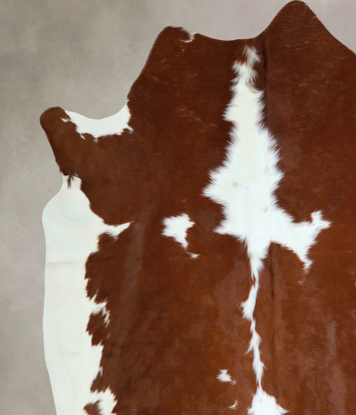 Brown and White X-Large Brazilian Cowhide Rug 7'0"H x 7'1"W #A42906 by Hudson Hides