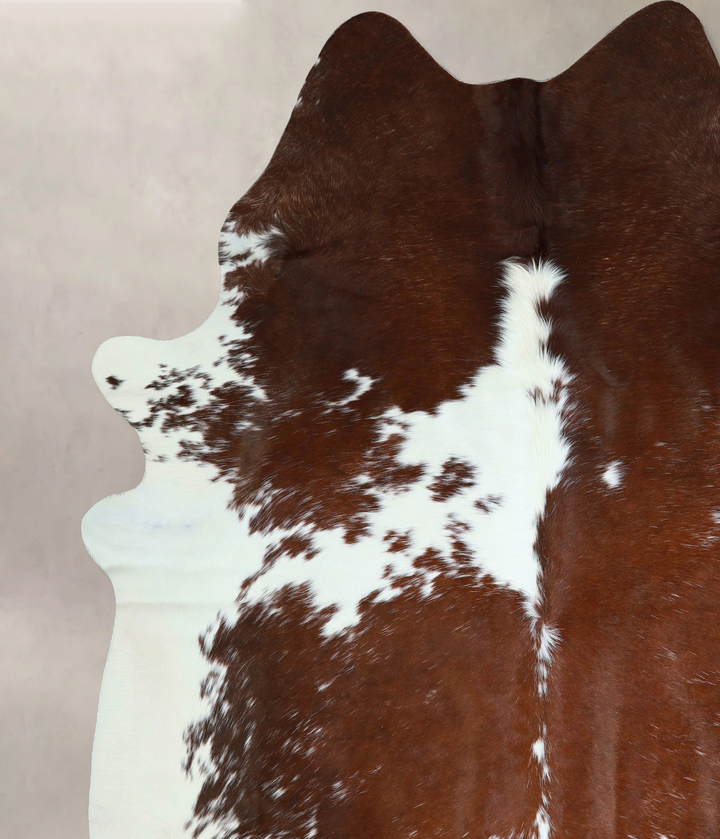 Brown and White XX-Large Brazilian Cowhide Rug 8'0"H x 7'3"W #A42908 by Hudson Hides