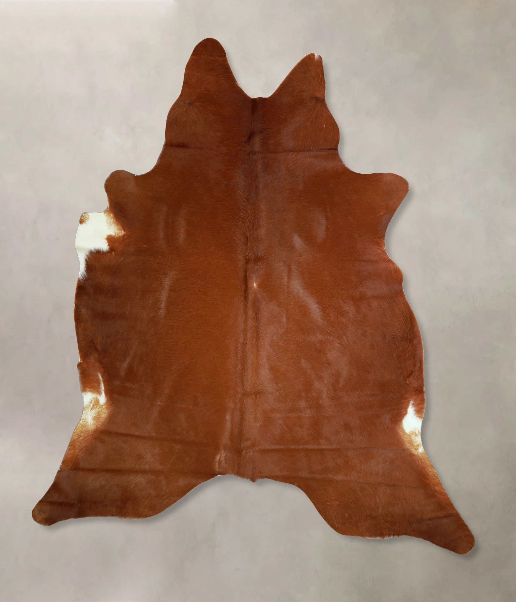 Solid Brown Cowhide Rug #A42921