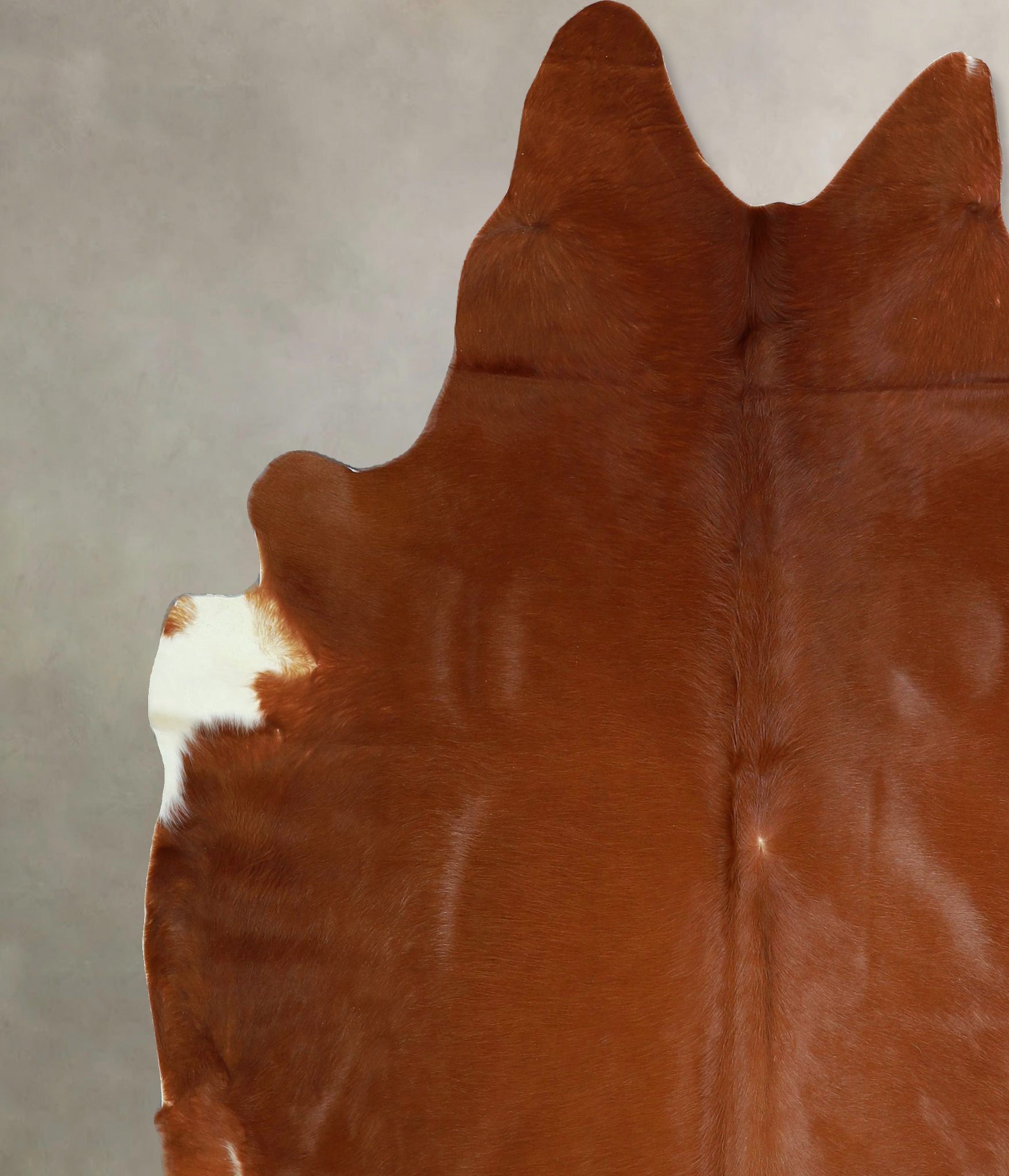 Solid Brown Cowhide Rug #A42921