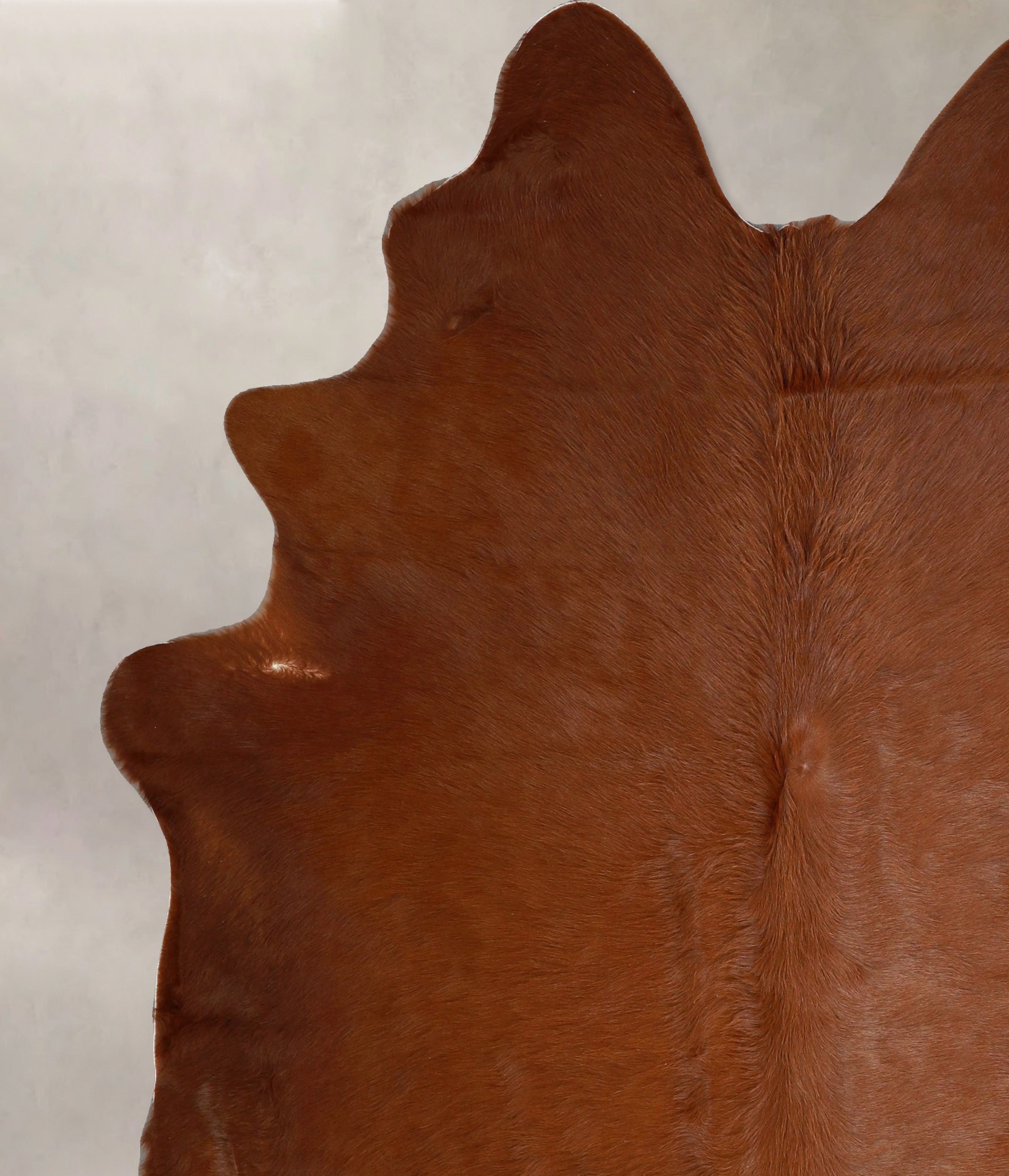 Solid Brown Cowhide Rug #A42933