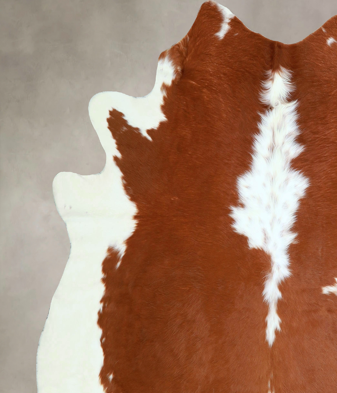 Brown and White X-Large Brazilian Cowhide Rug 6'10"H x 6'6"W #A42961 b