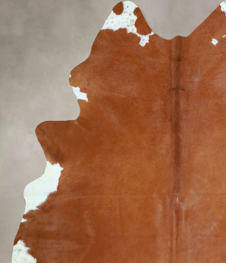 Solid Brown X-Large Brazilian Cowhide Rug 7'2"H x 5'9"W #A42962 by Hudson Hides