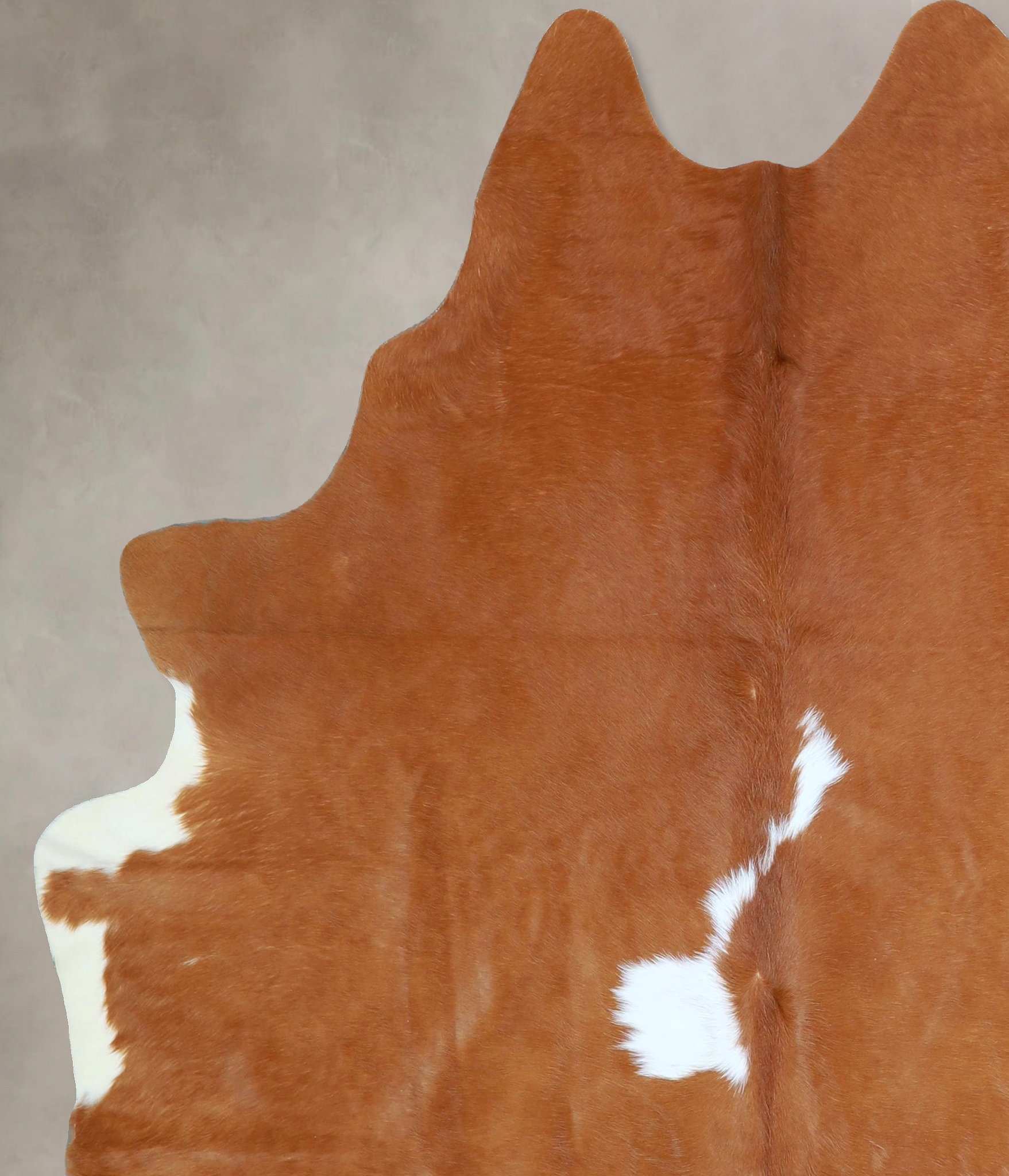 Brown and White Regular Cowhide Rug #A42965
