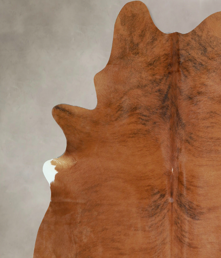 Medium Brindle X-Large Brazilian Cowhide Rug 7'1"H x 6'1"W #A42971 by Hudson Hides