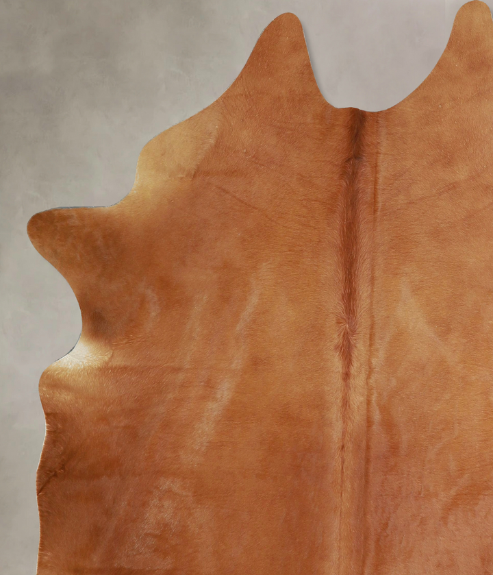 Solid Brown X-Large Brazilian Cowhide Rug 6'11"H x 5'11"W #A42975 by Hudson Hides