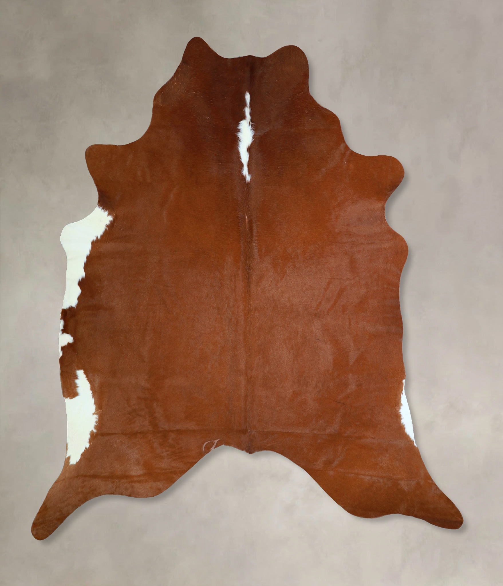 Brown and White Regular Cowhide Rug #A42976