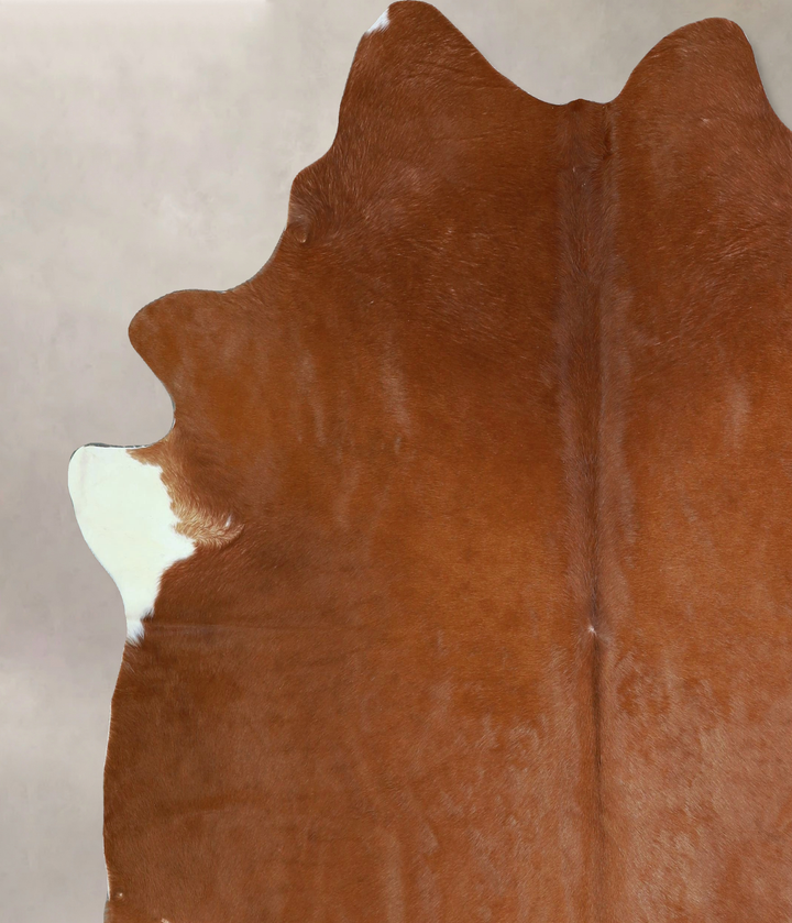 Solid Brown X-Large Brazilian Cowhide Rug 6'10"H x 6'7"W #A42977 by Hudson Hides