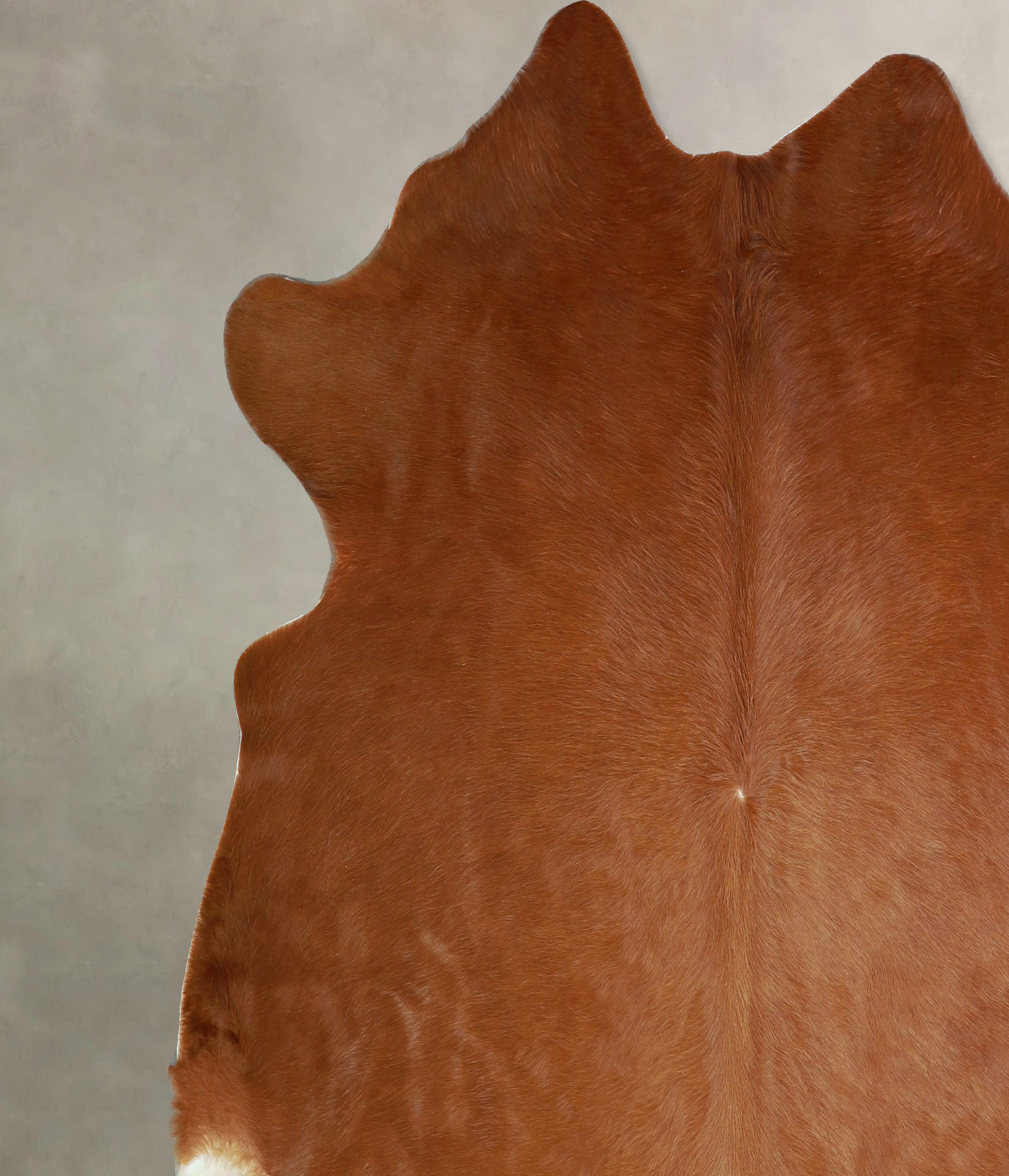 Solid Brown Cowhide Rug #A42979