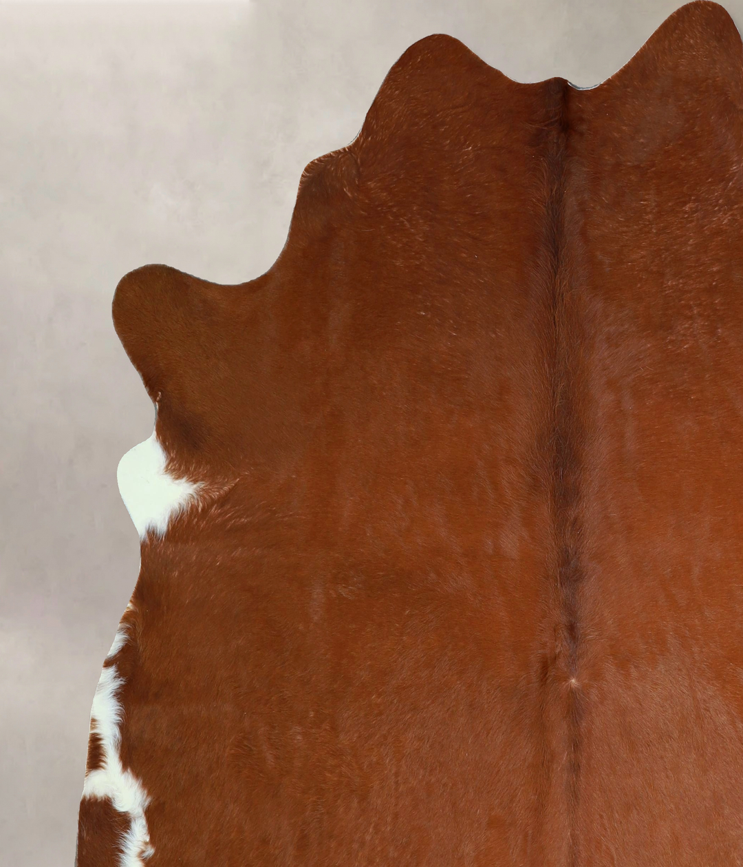 Solid Brown X-Large Brazilian Cowhide Rug 6'10"H x 6'6"W #A42980 by Hu