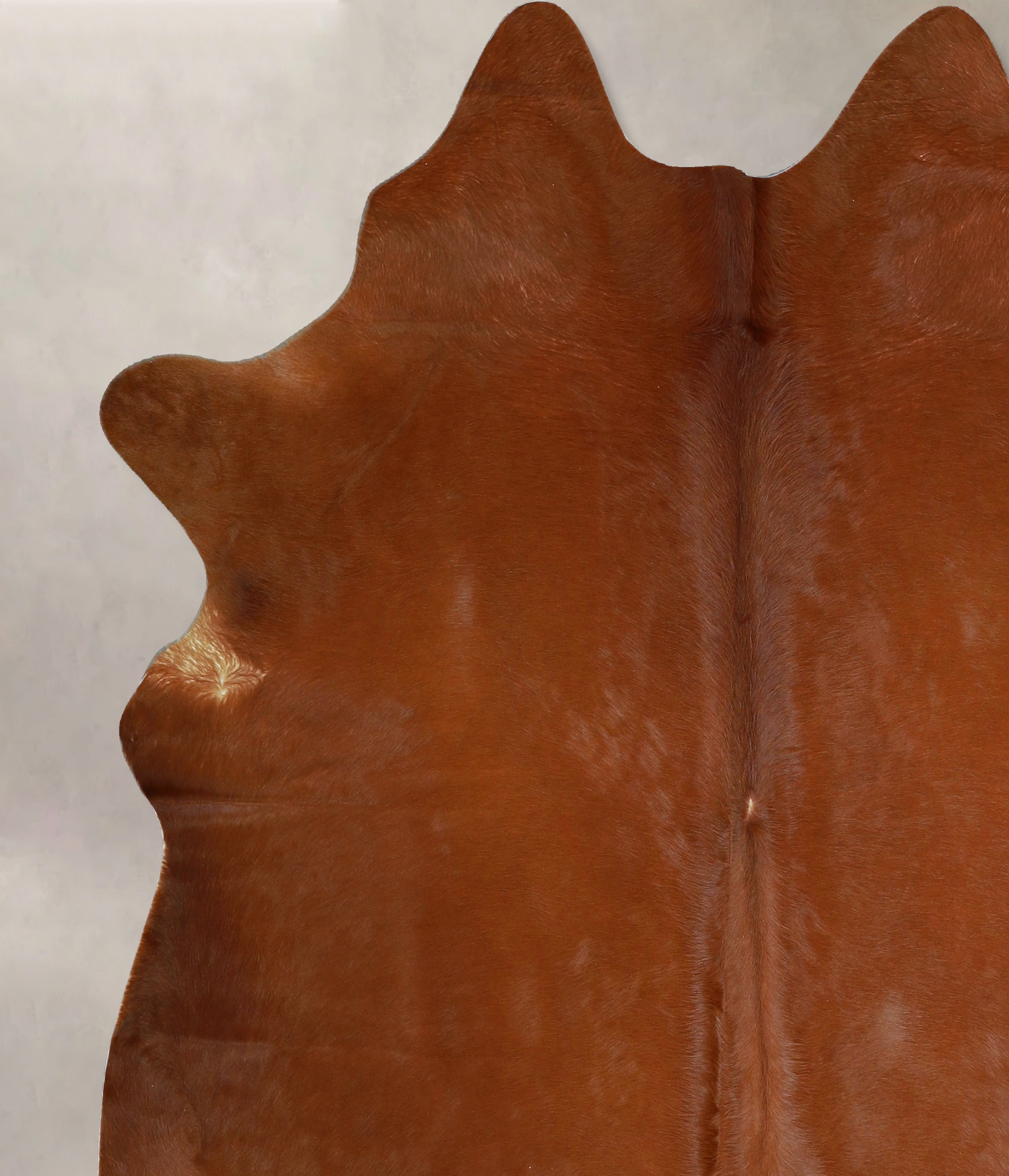 Solid Brown Cowhide Rug #A42993