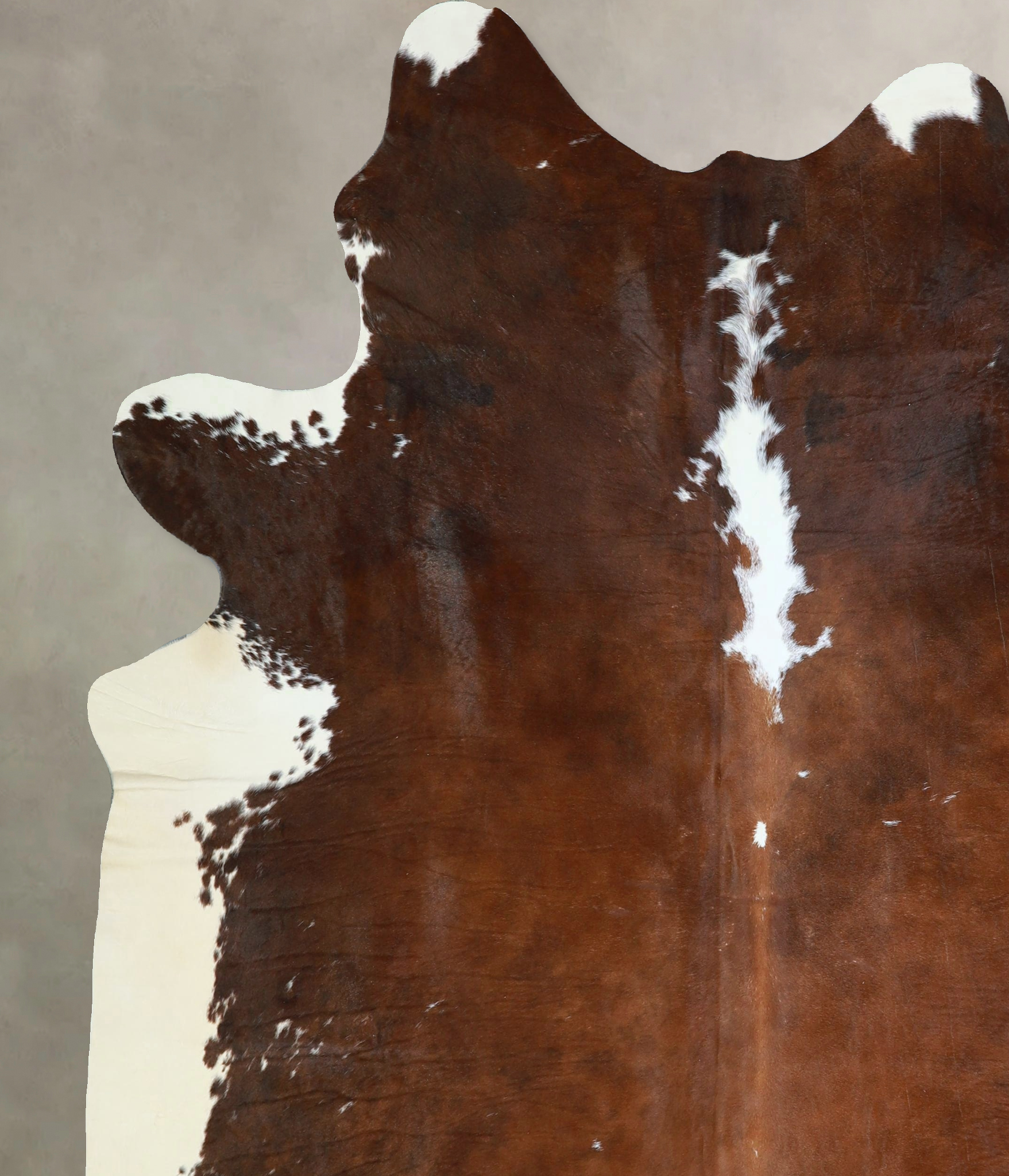 Chocolate and White Cowhide Rug #A42994
