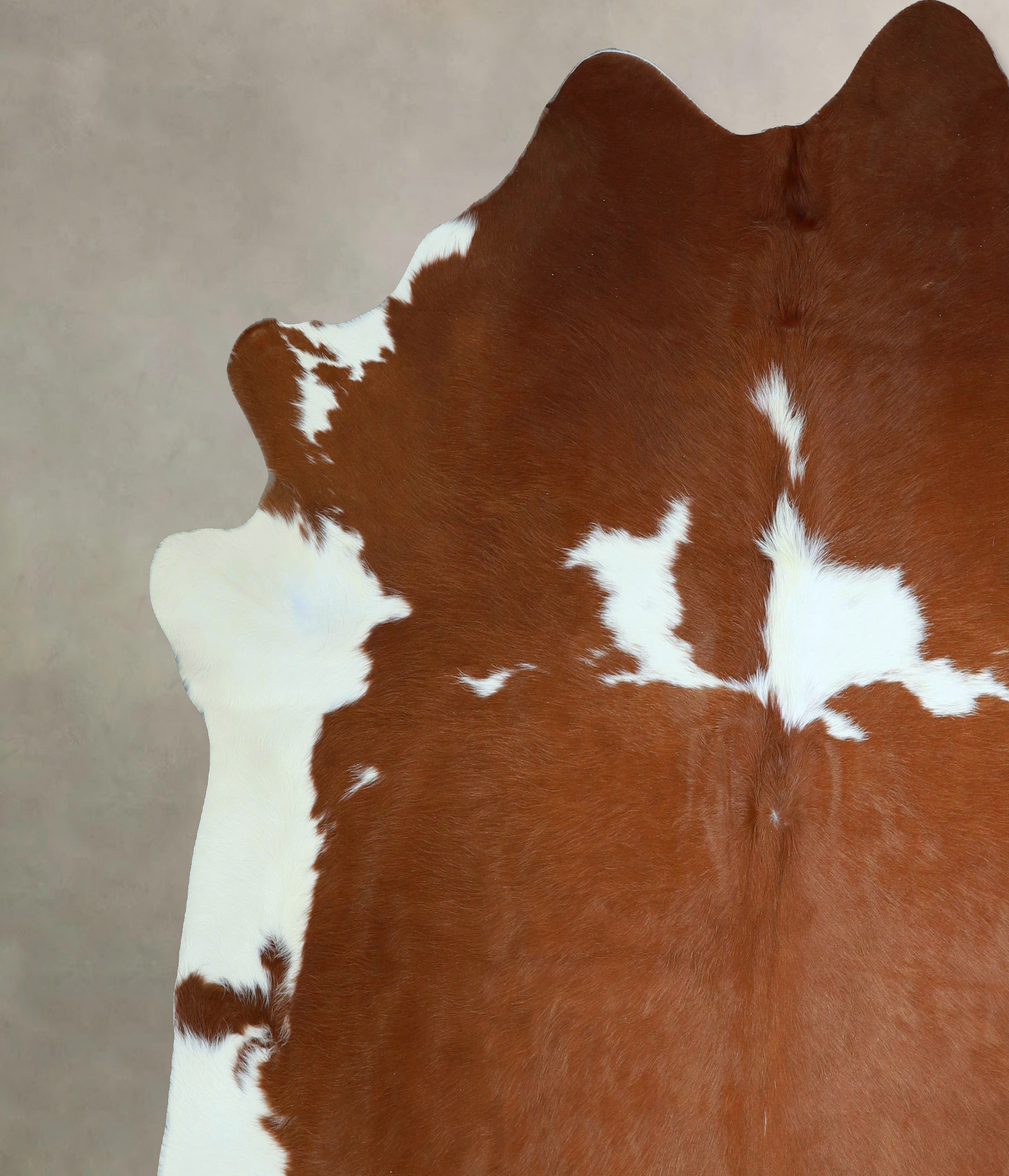 Brown and White Cowhide Rug #A43004