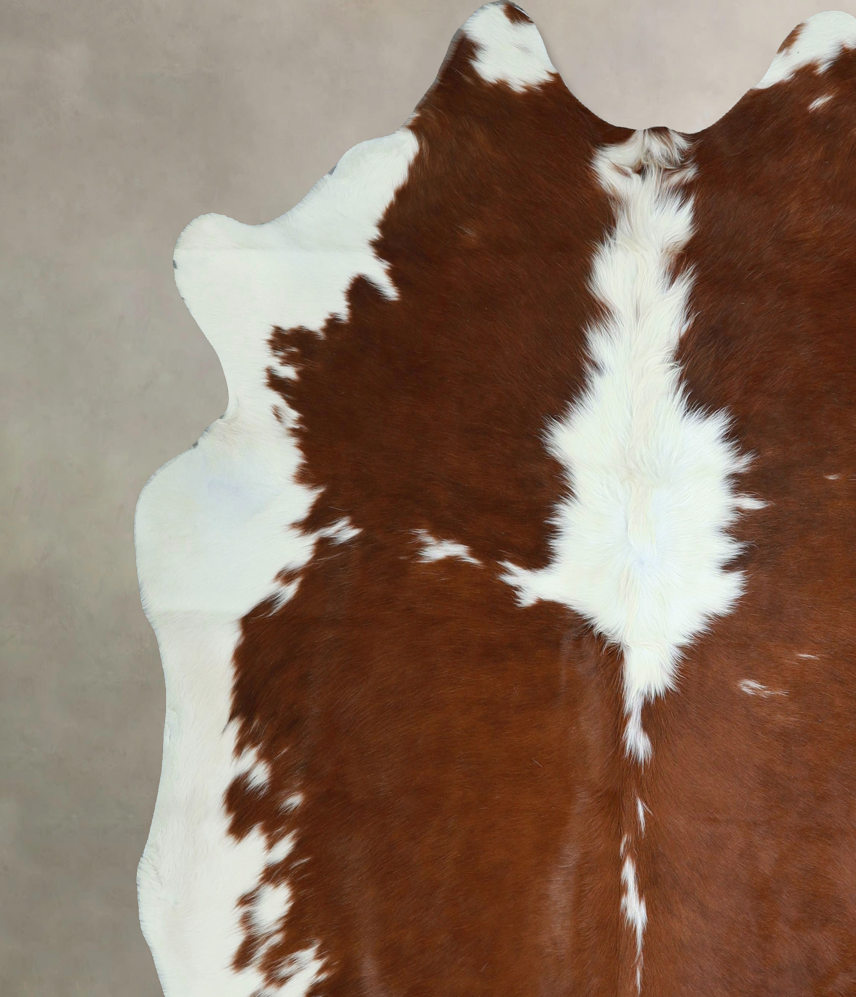 Brown and White Cowhide Rug #A43005