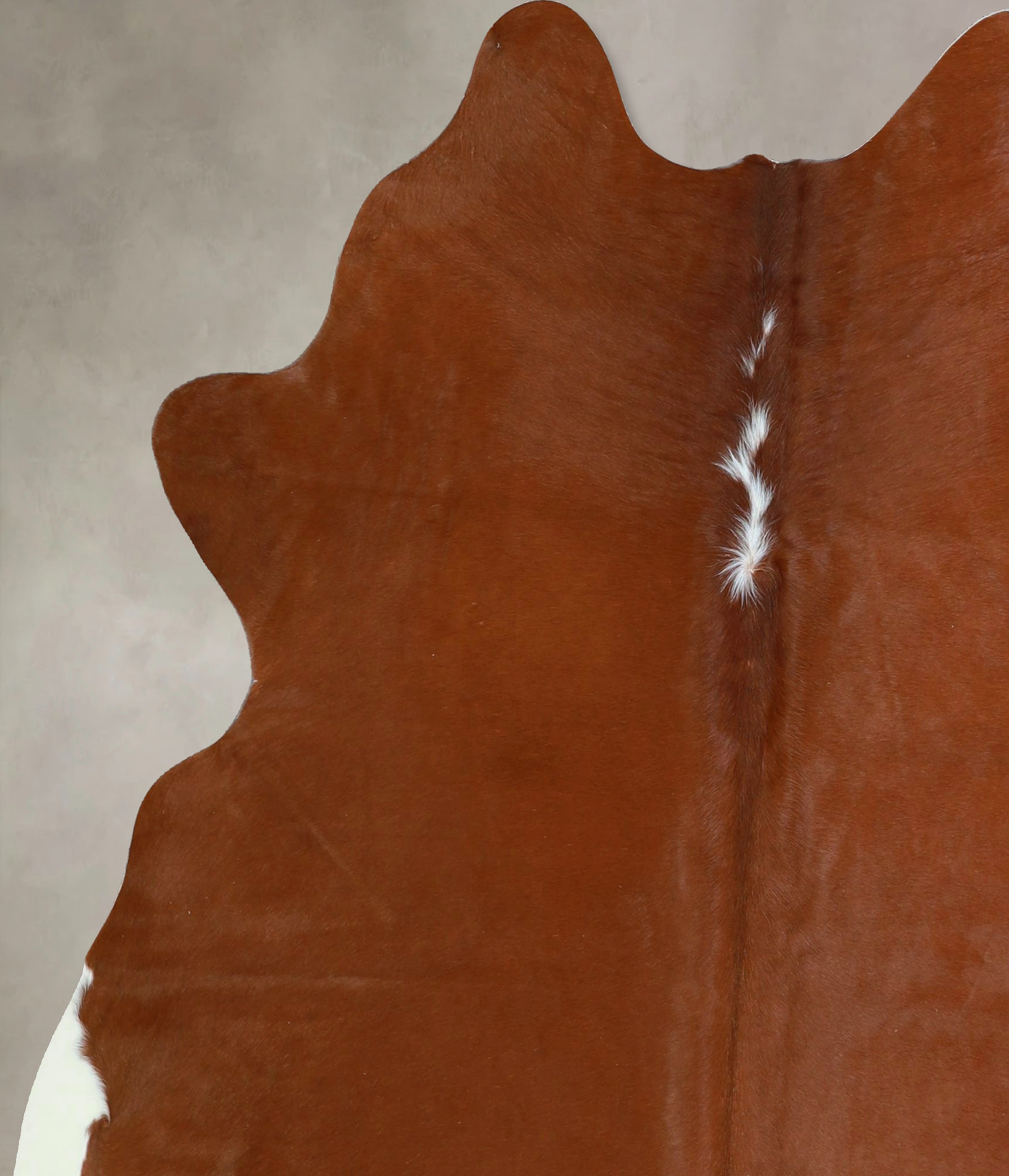 Brown and White Regular Cowhide Rug #A43011