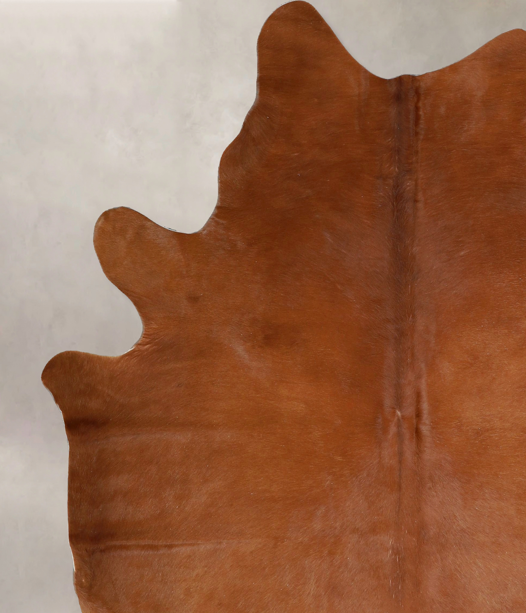Solid Brown X-Large Brazilian Cowhide Rug 7'1"H x 6'0"W #A43012 by Hud