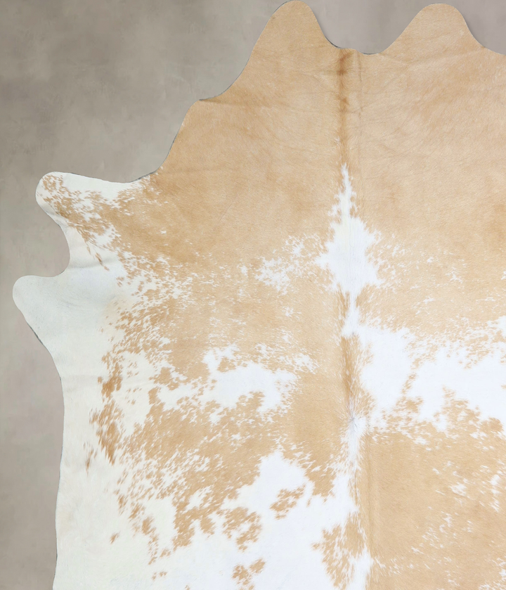 Beige and White XX-Large Brazilian Cowhide Rug 7'6"H x 7'7"W #A43019 by Hudson Hides