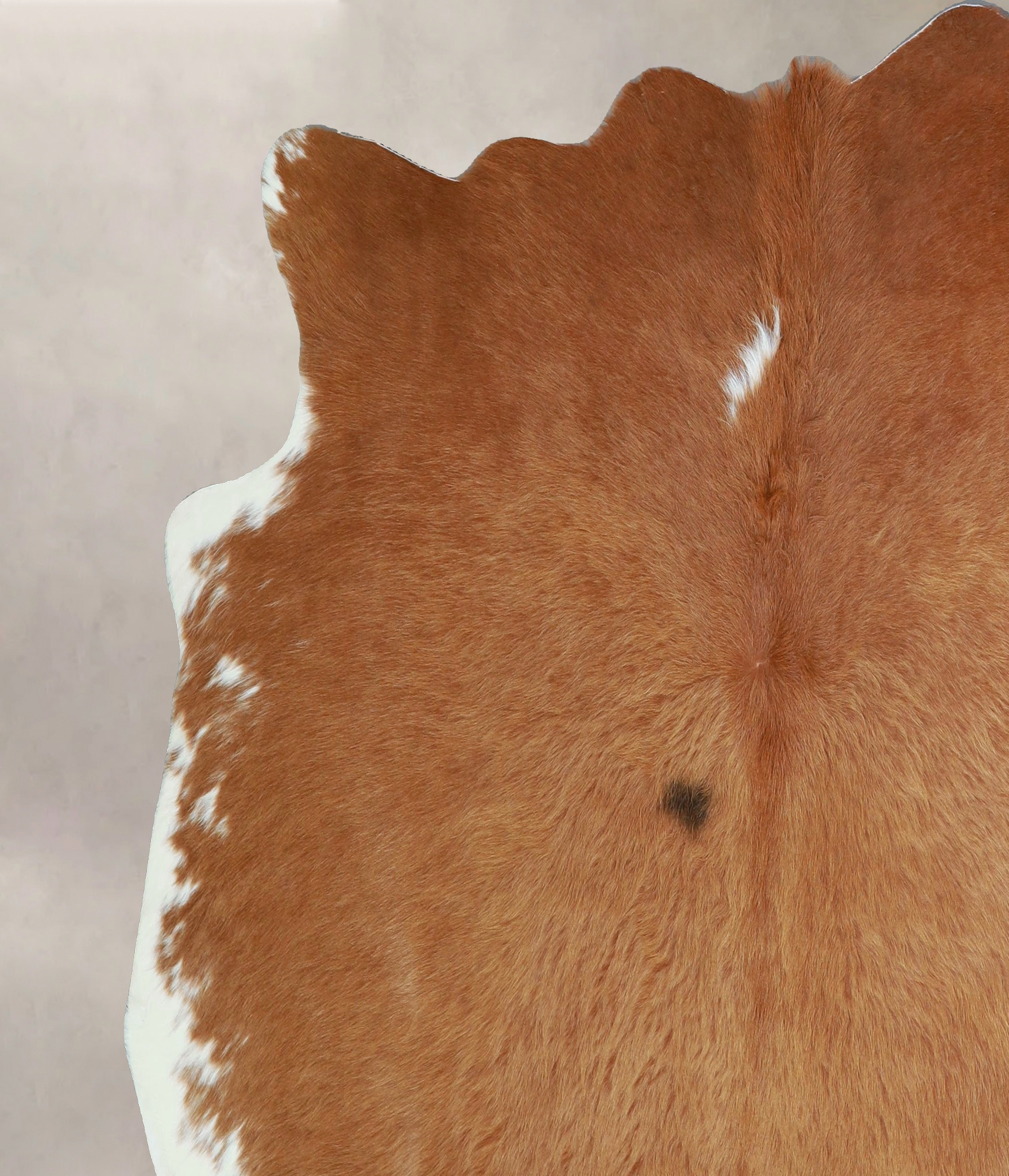 Brown and White Regular Cowhide Rug #A43047