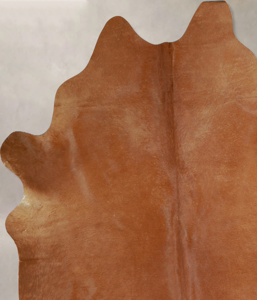 Solid Brown X-Large Brazilian Cowhide Rug 7'6"H x 6'1"W #A43051 by Hud
