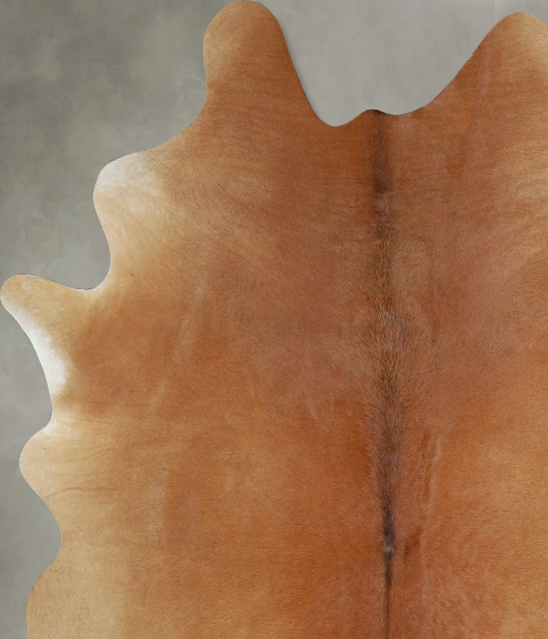 Light Caramel Large Brazilian Cowhide Rug 6'11"H x 5'5"W #A43072 by Hu