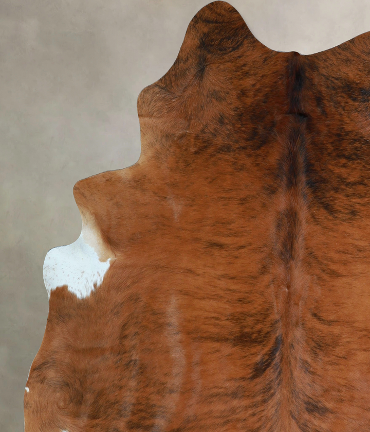 Medium Brindle X-Large Brazilian Cowhide Rug 7'5"H x 6'8"W #A43089 by Hudson Hides