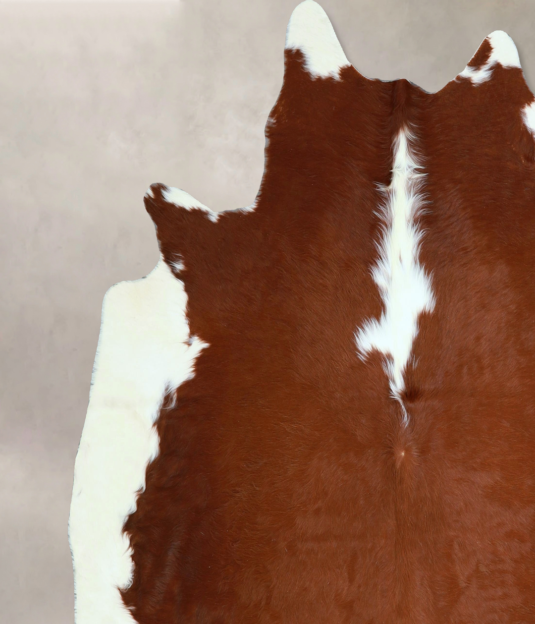Hereford X-Large Brazilian Cowhide Rug 6'8"H x 6'10"W #A43132 by Hudso