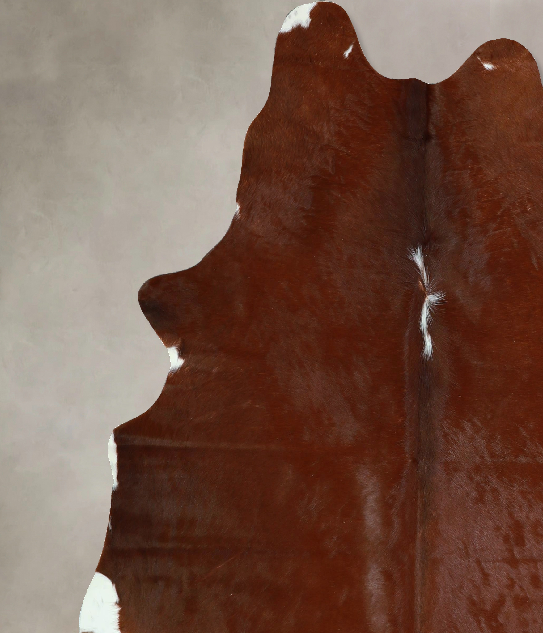Brown and White Regular Cowhide Rug #A43139