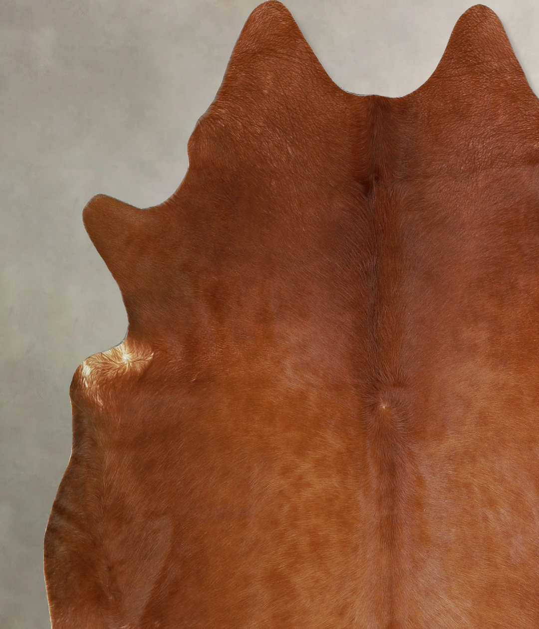 Solid Brown X-Large Brazilian Cowhide Rug 7'2"H x 6'6"W #A43151 by Hud