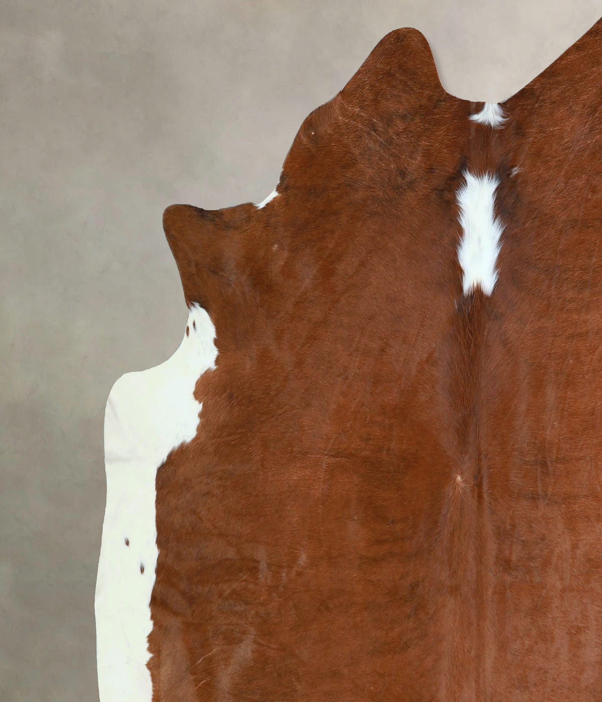 Brown and White Regular X-Large Brazilian Cowhide Rug 6'9"H x 6'11"W #A43152 by Hudson Hides