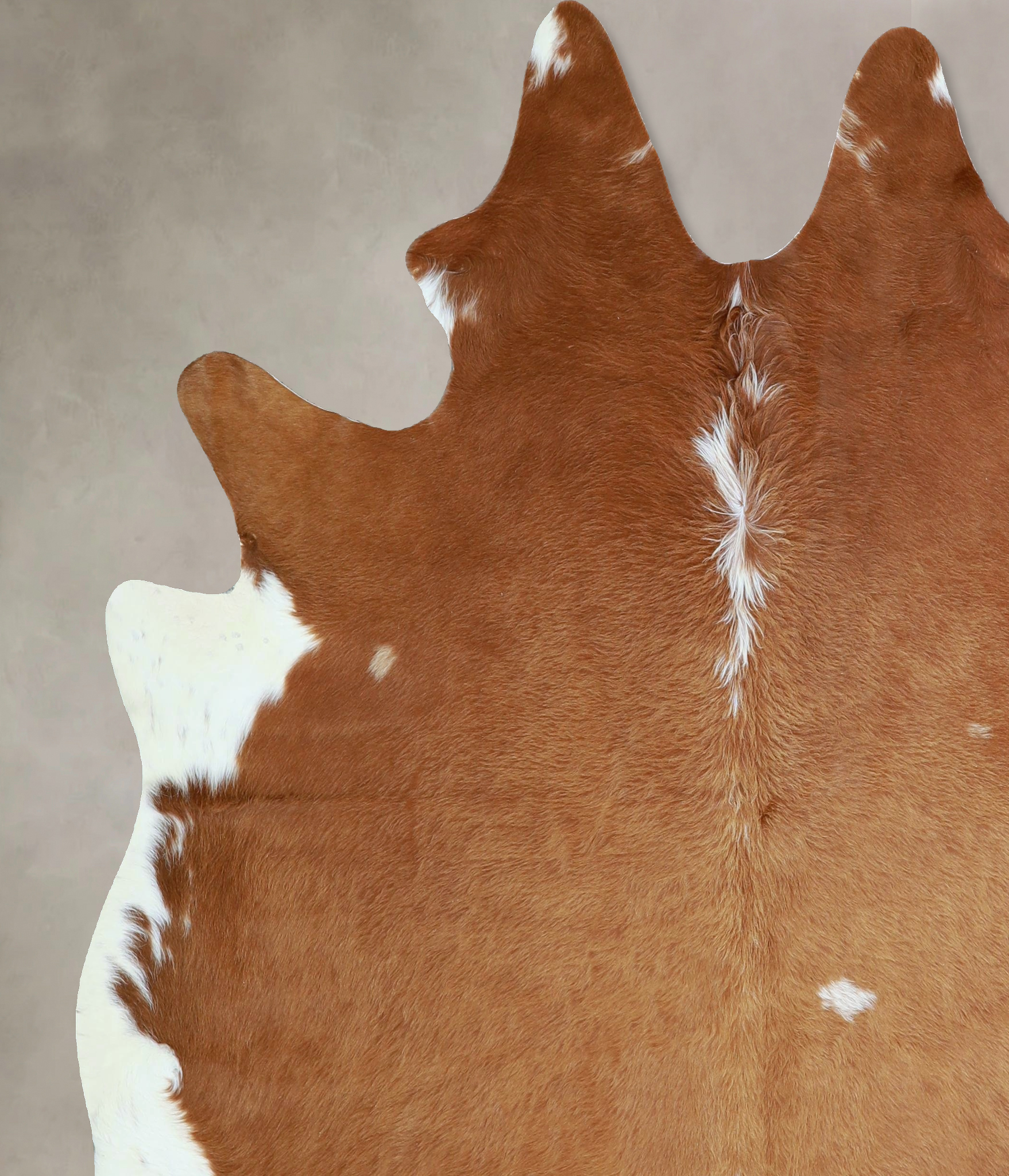Brown and White Regular Cowhide Rug #A43154