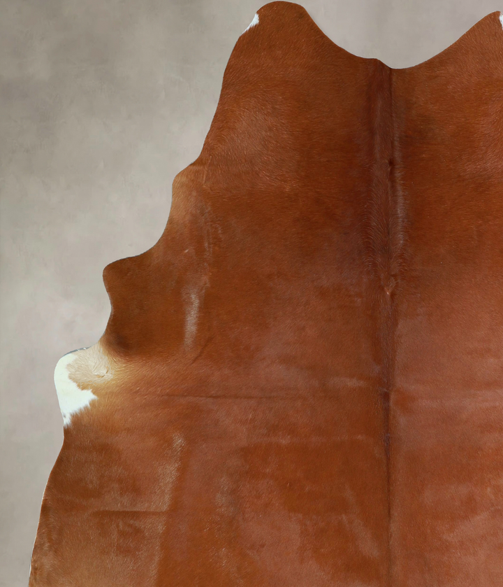 Solid Brown X-Large Brazilian Cowhide Rug 7'4"H x 6'7"W #A43157 by Hudson Hides